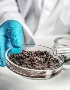 Geotechnical Investigation